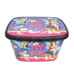 Cutie depozitare jucarii pentru camera fetitei 50 litri Toy Box Fairy