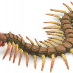 Figurină Collecta FIGURA CU toate acestea - CENTIPEDE - CollectA - 88885 - L, Collecta