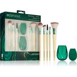 EcoTools Shimmer + Shine set cadou (faciale), EcoTools