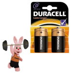 Baterie Duracell Basic D