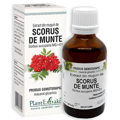Extract Din Muguri De Scorus de Munte 50ml  Plantextrakt,