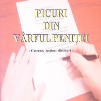 Povestea unei nopti de iarna - Florin Irimia,