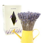 Aranjament floral - Mini stropitoare cu lavanda, galben | Fleurane, Fleurane