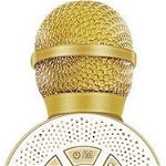 Microfon Karaoke Vega auriu, Vega