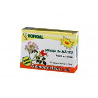 Muguri de Castan Salbatic