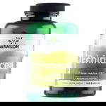 Swanson Echinacea 400 mg, cucuruz violet, 100 capsule, Swanson Health USA