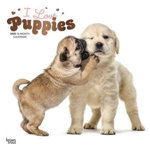 I love Puppies - Ich liebe Welpen - Hunde 2020 - 18-Monatskalender (Browntrout Wandkalender)