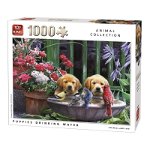 Puzzle 1000 piese puppies Drinking Water kg05668