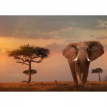 Puzzle Elefant In Masai Mara, 1000 Piese, Ravensburger