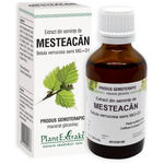 Extract din seminte mesteacan 50ml, PlantExtrakt