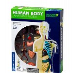 Kit STEM Anatomia corpului uman, Thames & Kosmos