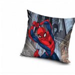 Fata de perna, Carbotex, Model Spiderman, 40 x 40 cm, Multicolor
