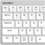 Dareu EK868 Blue switch keyboard (TK568B08601R), Dareu