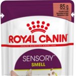 ROYAL CANIN FHN Sensory Smell în Sos Plic pentru pisici 85g, Royal Canin