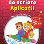 Reguli de scriere. Aplicatii - Daniela Chindea, Nicoleta Nedelescu, Petrita Vlaicu