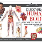 Set educational Wonders of Learning - Human Body