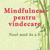 Darul constelatiilor. Suflet pierdut, suflet regasit, 