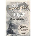Sub aripi de inger - Mihai Bradescu, editura Litera