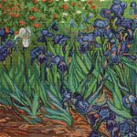 Set goblen cu ață și ac - Flori de iris (Van Gogh), edituradiana.ro