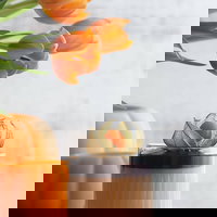 Set de pahare (6 Pieces), Transparent, 8x9x8 cm, Lav