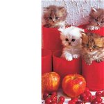Puzzle KS Games - Cherry Cats, 200 piese (11169), KS Games