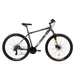 Bicicleta Mtb Terrana 2905 - 29 Inch, M, Gri, Dhs