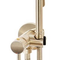 Baterie pentru bideu Lungo Loop auriu periat, Rea