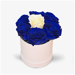 Cutie cu 7 trandafiri, albastri si albi, criogenati - Standard, Floria