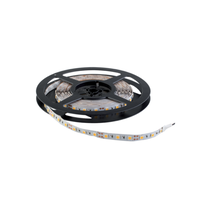 Bandaled 14.4w/ml 5M 6400K 12V NON WATERPROOF LED STRIP, Horoz