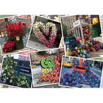 Puzzle Flori In New York, 1000 Piese, Ravensburger