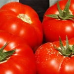 Seminte tomate Mahitos 100 seminte