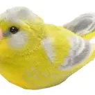 Pasare cu sunet Florinte - GREENFINCH