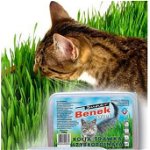 Super Benek CAT GRASS DUET