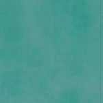 ESV Student Study Bible (Trutone, Turquoise) -