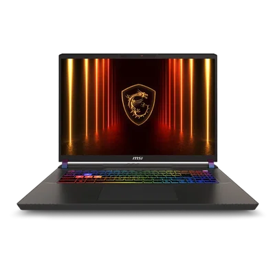 Laptop MSI Vector 17 HX AI A2XWJG 17", QHD+ 240Hz, Intel Core Ultra 9 275HX, 64 GB RAM, 2 TB SSD, Free DOS, Cosmos Gray
