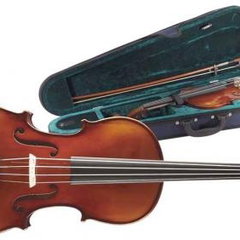 Stagg VN-4/4