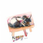Set pictura pe numere, cu sasiu, Cute kitten, 40x50 cm