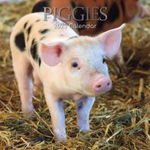 Piggies - Ferkel Schweine 2023 - 16-Monatskalender (Browntrout Wandkalender)