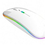 Mouse optic RGB fara fir 1000/1200/1600 DPI, intrare USB, forma ergonomica, 11 x 6 x 2,5cm, alb, Pro Cart
