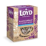 Loyd Blackcurrant Elderberry Flower ceai piramida 20 buc