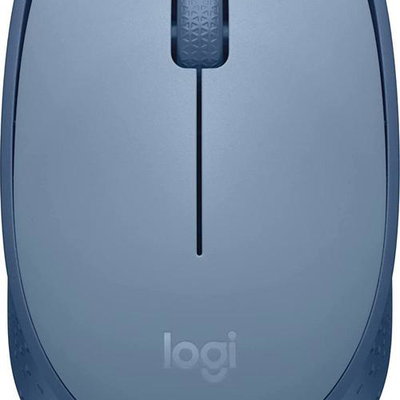 LOGITECH M171 Mouse right and left-handed optical 3 buttons wireless 2.4 GHz USB wireless receiver blue grey