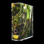 Dragon Shield Slipcase Binder - Green art Dragon, Dragon Shield