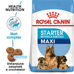 Royal Canin Maxi Starter Mother & Babydog gestatie/ lactatie pui hrana uscata caine, 4 kg, ROYAL CANIN