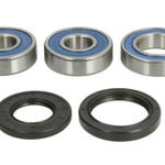 Set Rulmenti roata cu garnituri spate compatibil: KAWASAKI VN, ZRX, ZZR 1200/2000 2001-2005, ALL BALLS