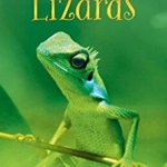Lizards, Hardback - James Maclaine