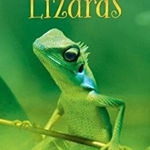 Lizards, Hardback - James Maclaine