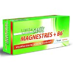 MagneStress + B6, 40 comprimate, Terapia