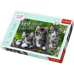 Puzzle Trefl Pisoi dragalasi 260 piese