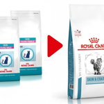 ROYAL CANIN VD Skin & Coat Hrană uscată pentru pisici 1,5kg, Royal Canin Veterinary Diet