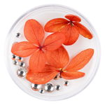 Flori Uscate Unghii LUXORISE cu cristale - Floral Fairytale #20, LUXORISE Nail Art